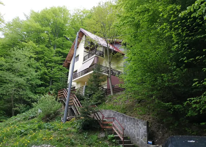 Casa Din Padure