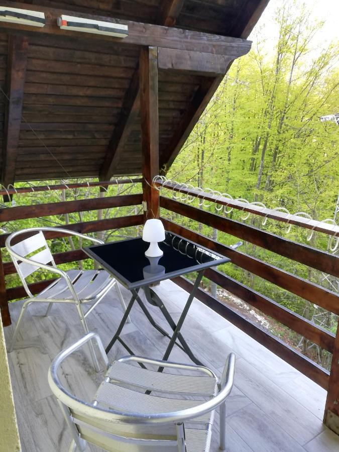 Casa Din Padure Gazde/Camere de închiriat Sinaia