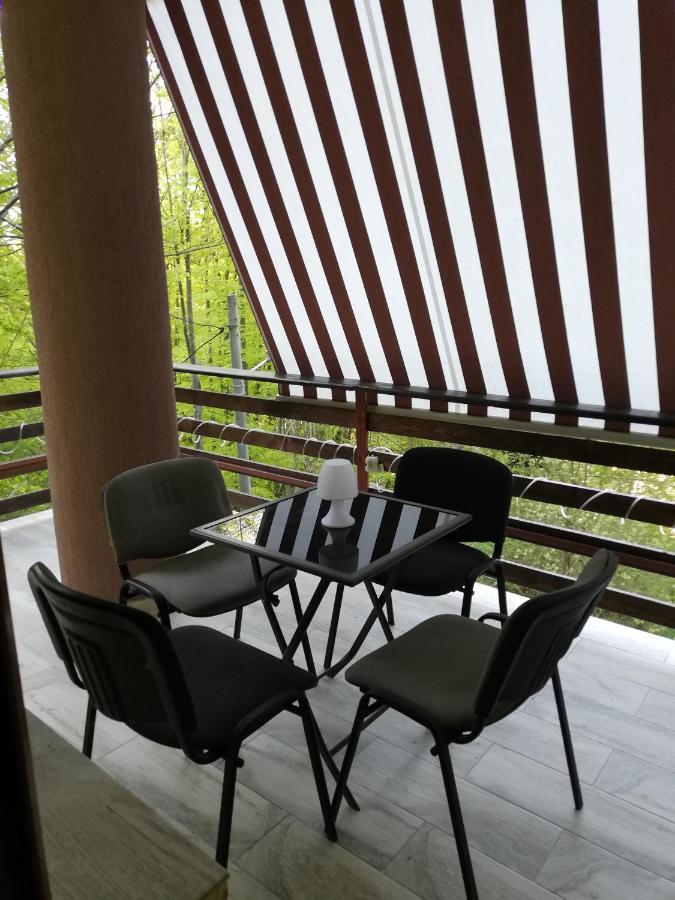 Gazde/Camere de închiriat Casa Din Padure Sinaia