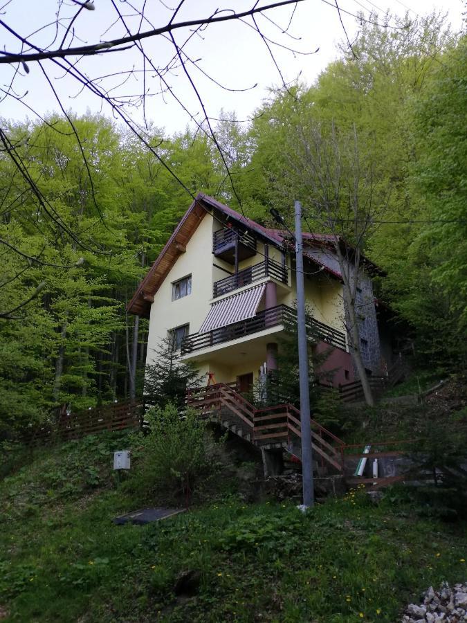 Gazde/Camere de închiriat Casa Din Padure *