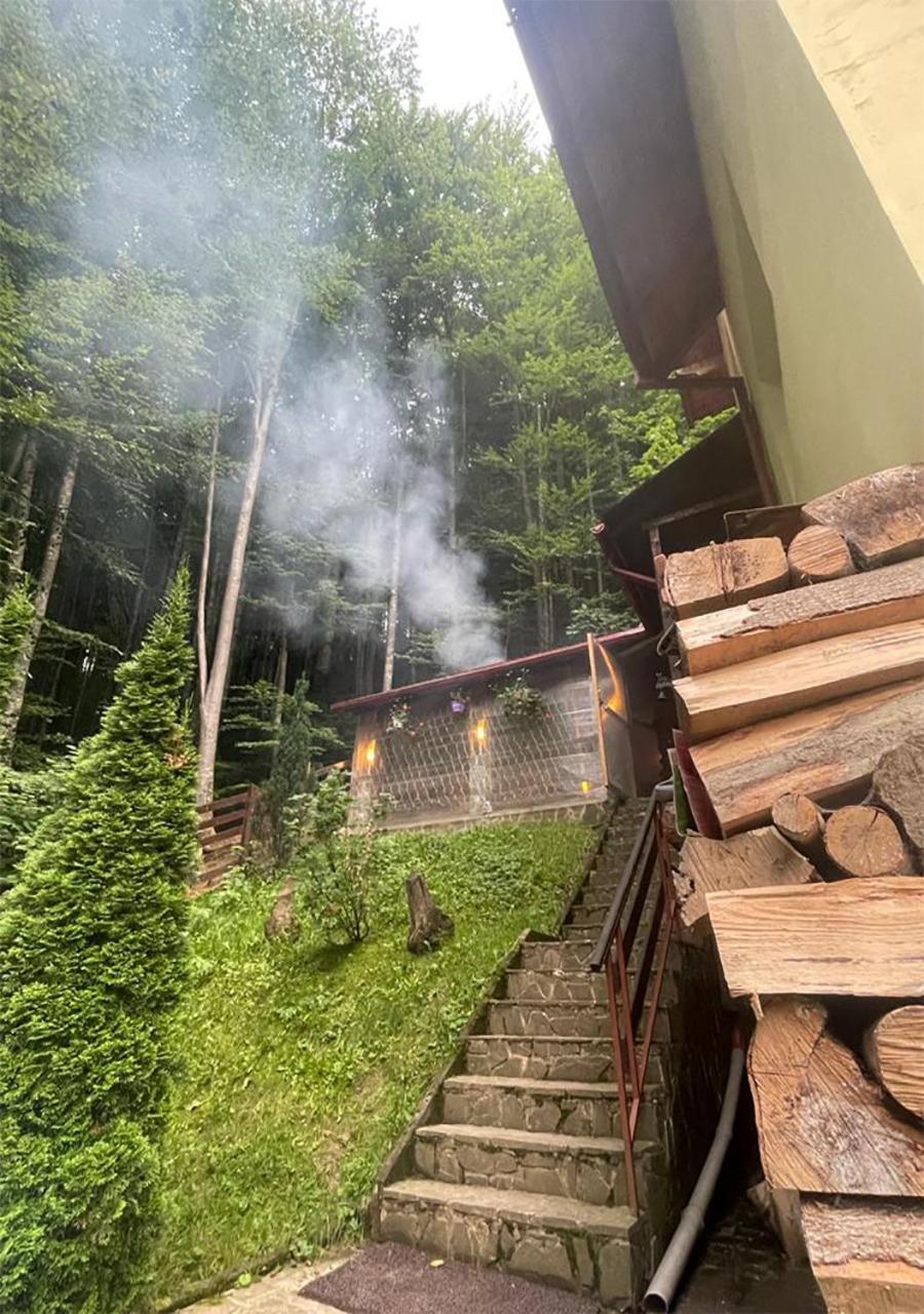 Casa Din Padure Gazde/Camere de închiriat Sinaia
