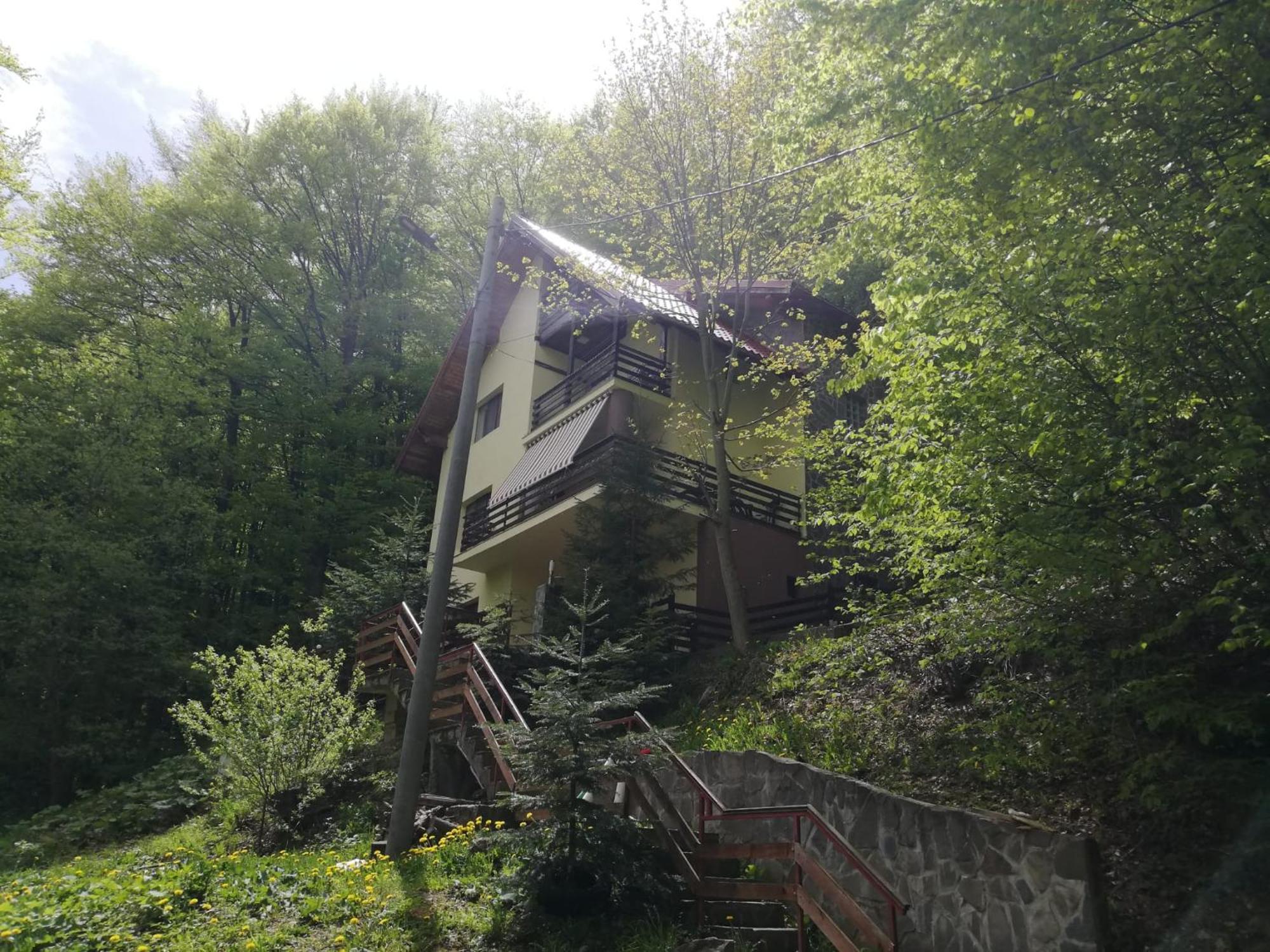 Casa Din Padure Gazde/Camere de închiriat *