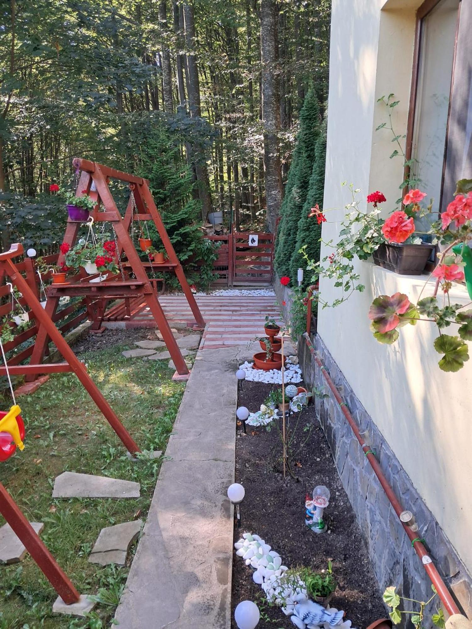 Casa Din Padure * Sinaia